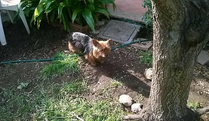 Casa Vacanza Dell'amicizia Fano